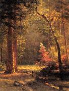 Albert Bierstadt Dogwood by Albert Bierstadt Spain oil painting artist